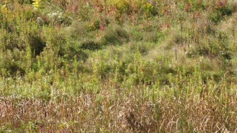 Camp X 9/28/13 - X-Marks-the-Spot13.jpg