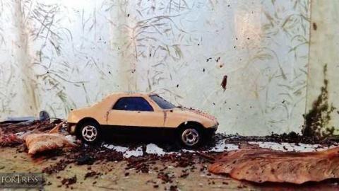 Hold Out House - Guelph, Ontario