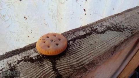 Sept 8, 2013 - Hold-Out-House10.jpg