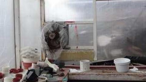 Sept 20, 2013 2 weeks later - Hold-Out-House42.jpg