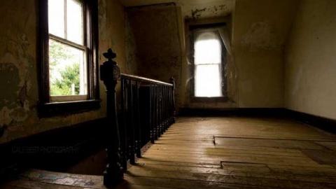 Big Red Lakeview photo 2