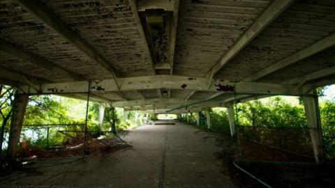 Summer 2013 - DSC06222.jpg