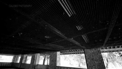 Summer 2013 - DSC06239.jpg