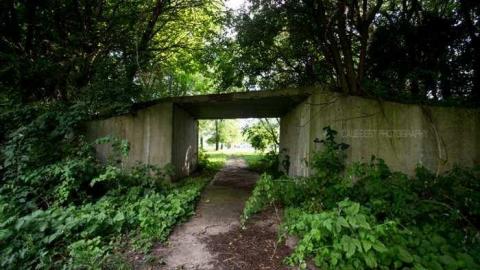 Summer 2013 - DSC06329.jpg