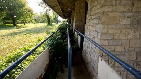 Summer 2013 - DSC06357.jpg