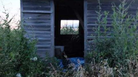 July2013 - Bradley-Ave.88.jpg