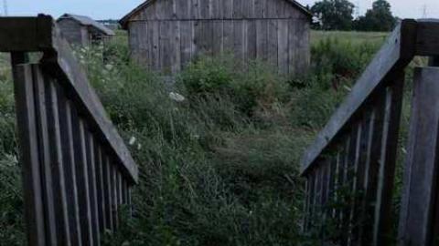 July2013 - Bradley-Ave.91.jpg