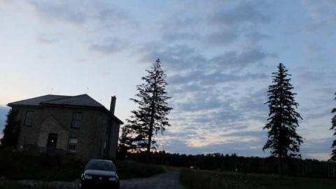 July2013 - Bradley-Ave.97.jpg