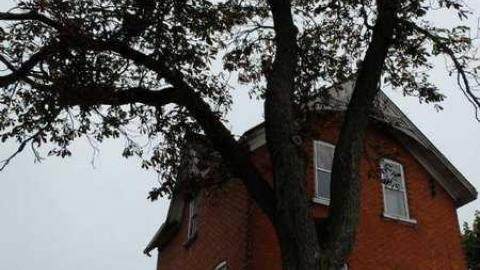 Oct2013 - Christmas-Catastrophe28.jpg