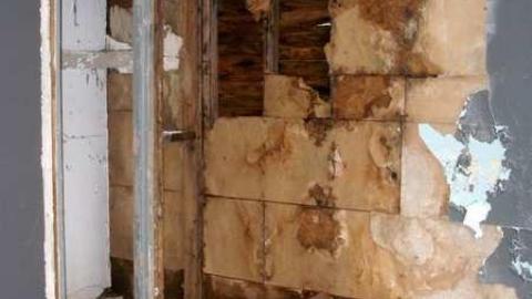 2 of 3 Open - Triple-Threat8.jpg