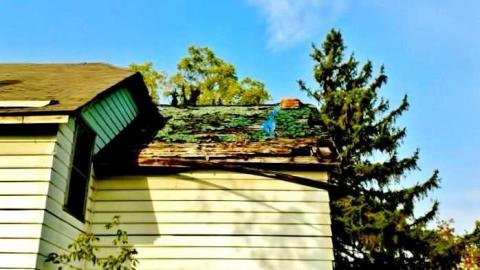 Mount Hope Flames - Homestead-Flames14.jpg