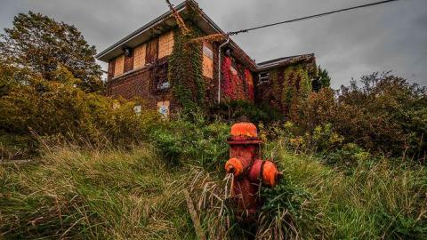 Kiwi's FM Party - Hamilton-TB-Sanitorium13.jpg