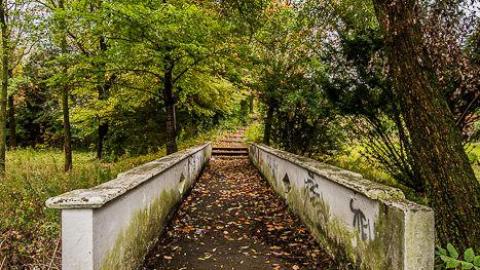 Kiwi's FM Party - Hamilton-TB-Sanitorium16.jpg