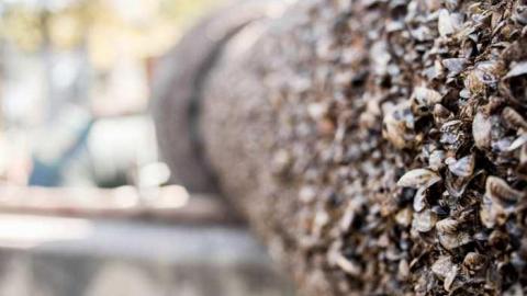 Mooney's Bay 2013-10 - Mooneys-Bay-Park-Storage9.jpg