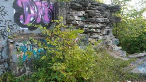 Falls - Churchs-Falls-Old-Mill6.jpg