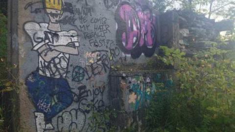 Falls - Churchs-Falls-Old-Mill8.jpg