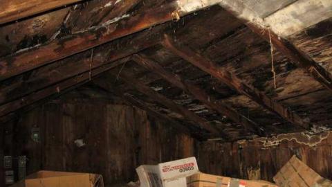 8/31/13 - IMG_7209.jpg