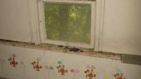 8/31/13 - IMG_7211.jpg