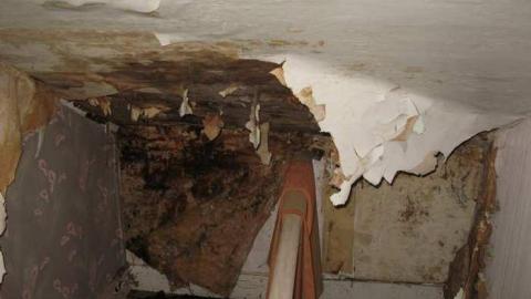 8/31/13 - IMG_7217.jpg