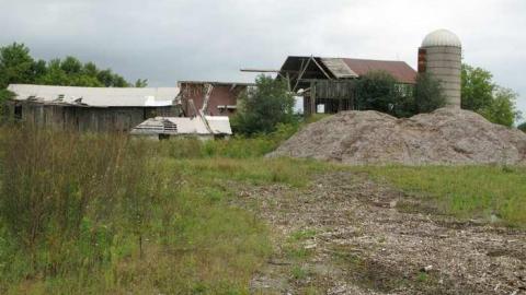 8/31/13 - IMG_7230.jpg