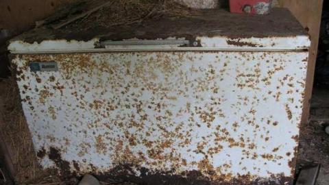 8/31/13 - IMG_7243.jpg