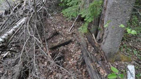 North Lake Stn & Coal Bunker - North-Lake-Station10.jpg