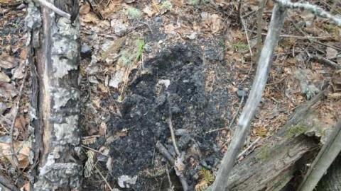 North Lake Stn & Coal Bunker - North-Lake-Station12.jpg