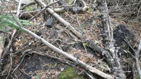 North Lake Stn & Coal Bunker - North-Lake-Station13.jpg