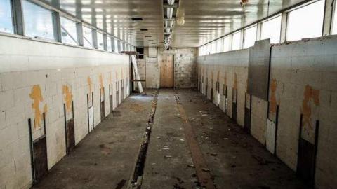 Dog Days - Dogpound 35-05612.jpg