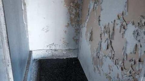 Dog Days - Dogpound 35-05614.jpg