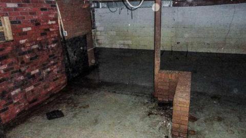 Dog Days - Dogpound 35-05615.jpg