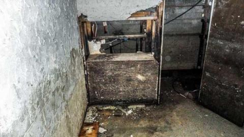 Dog Days - Dogpound 35-05616.jpg