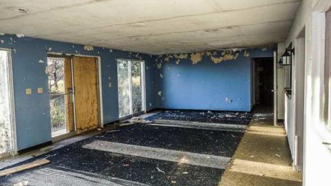 Dog Days - Dogpound 35-05617.jpg