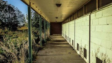 Dog Days - Dogpound 35-05619.jpg