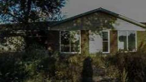 Dog Days - Dogpound 35-05621.jpg