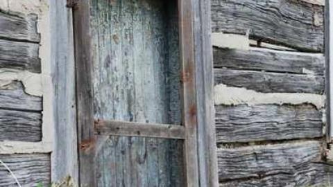 Photo from August 2010