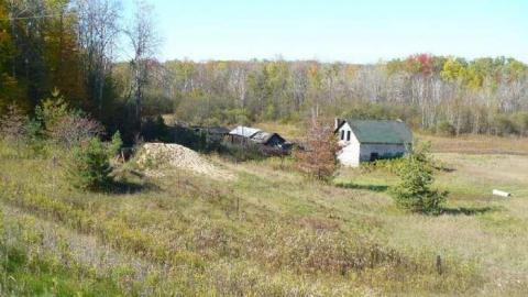 Basketcase - P1140455.jpg