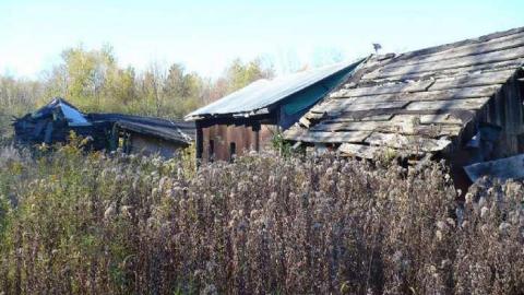 Basketcase - P1140413.jpg