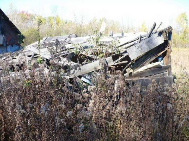 Basketcase - East Gwillimbury, Ontario