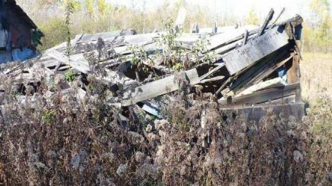 Basketcase cover photo