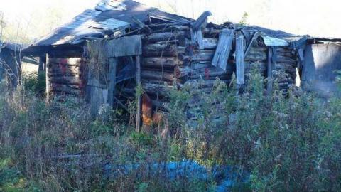 Basketcase - P1140415.jpg