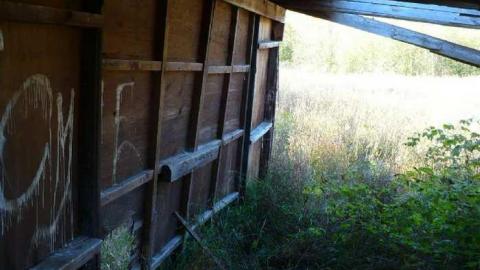 Basketcase - P1140417.jpg