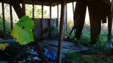 Basketcase - P1140421.jpg