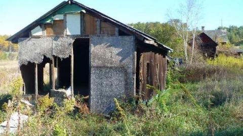 Basketcase - P1140423.jpg