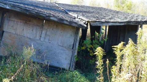 Basketcase - P1140424.jpg