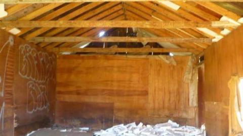 Basketcase - P1140425.jpg