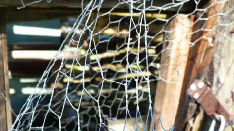 Basketcase - P1140426.jpg