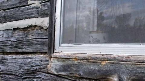 August 2010 - Dartmoor-(forgotten-hamlet)49.jpg