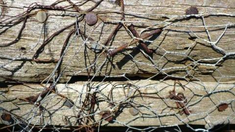 Basketcase - P1140427.jpg