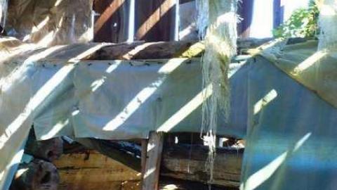 Photo from Basketcase